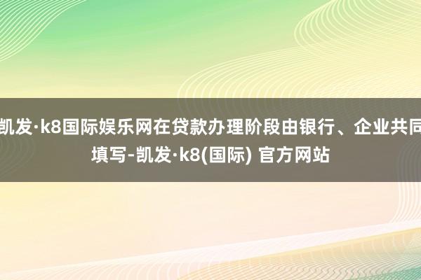 凯发·k8国际娱乐网在贷款办理阶段由银行、企业共同填写-凯发·k8(国际) 官方网站